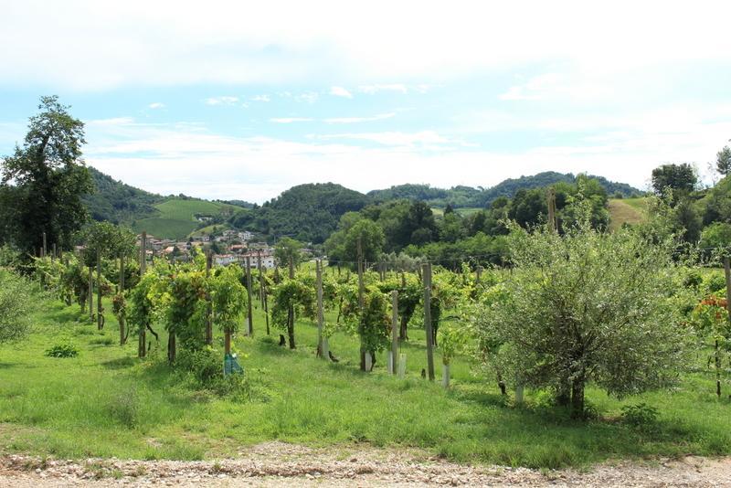 Agriturismo Mazzeracca Бассано-дель-Граппа Экстерьер фото